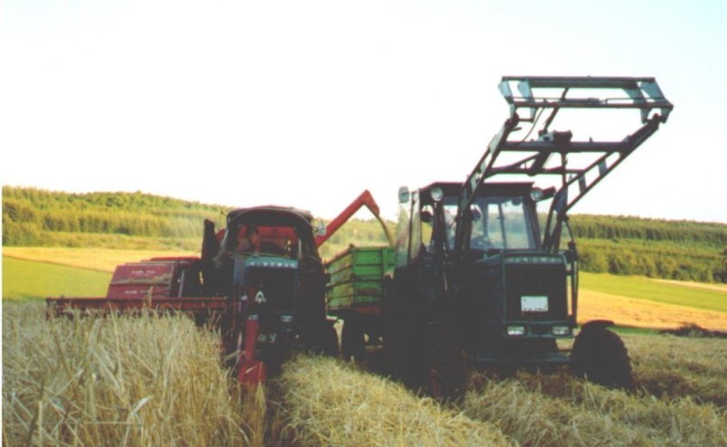 gra5